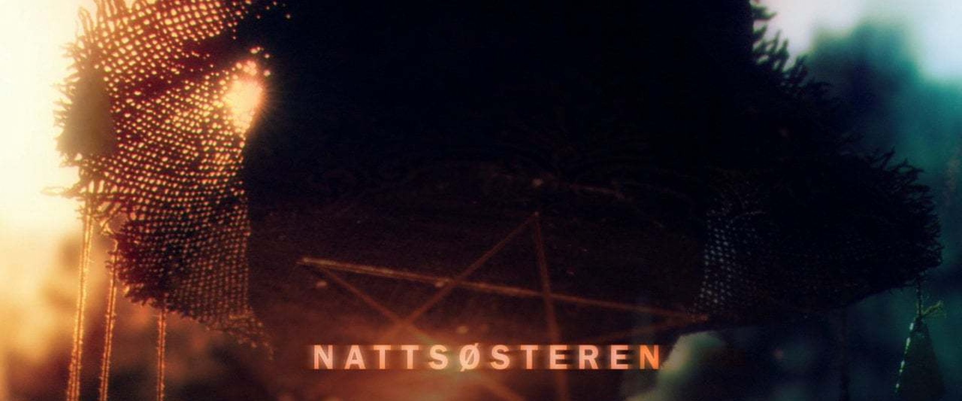 The Night Sister