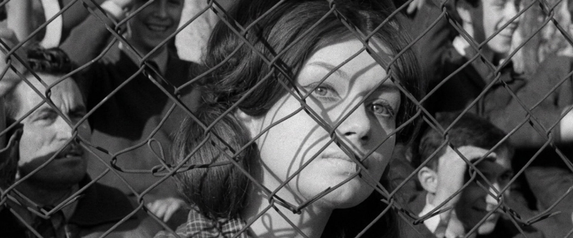 The Saturday Night Dance's banner image