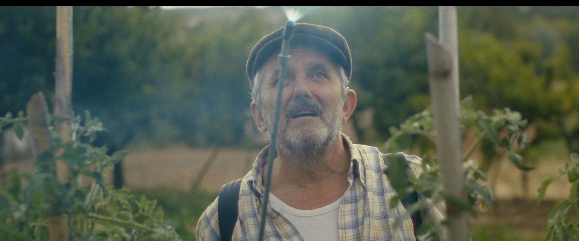 Cualquier día la envenenas's banner image