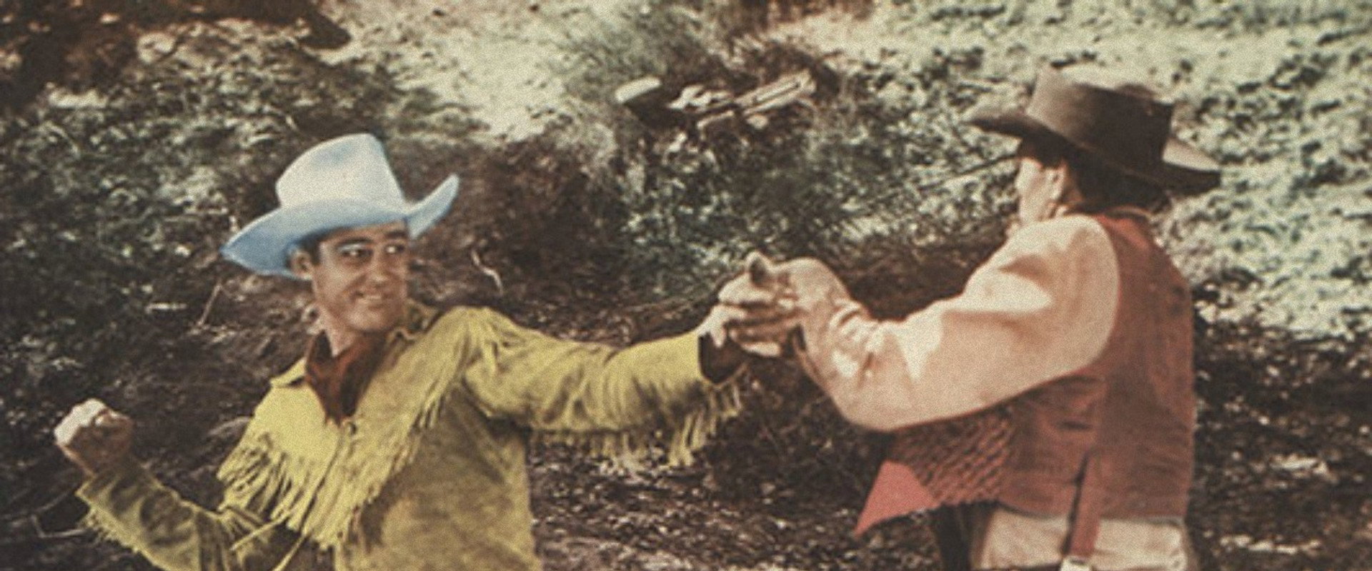 Trail of the Arrow's banner image