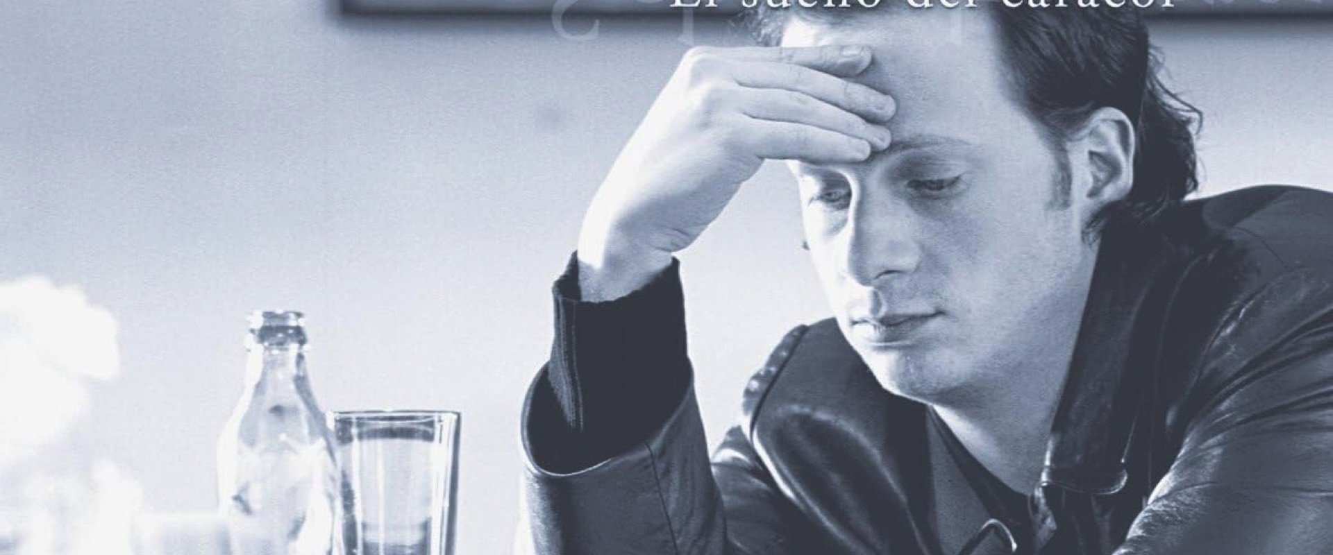 Schneckentraum's banner image
