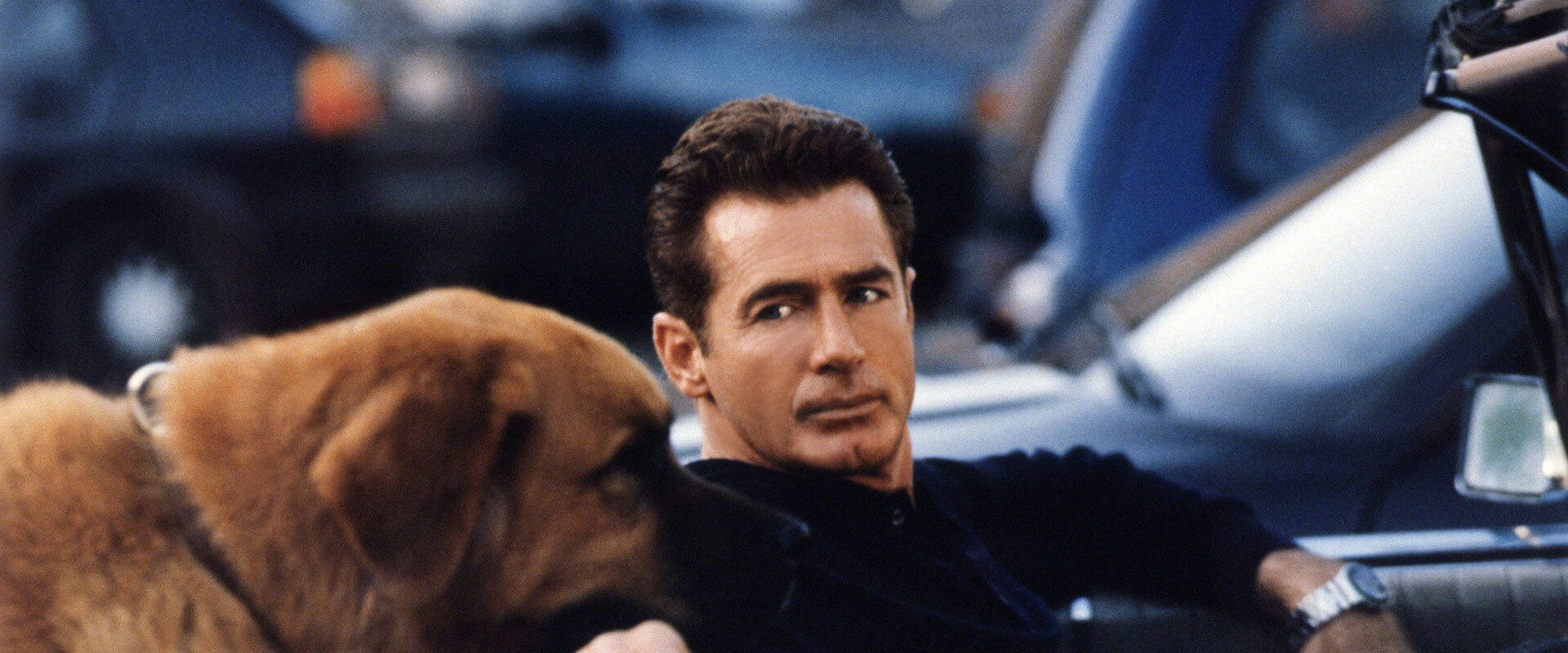 The New Adventures of Tequila & Bonetti