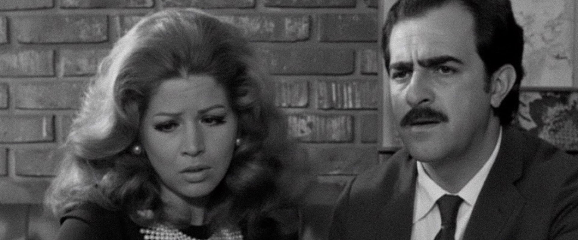 Os Raptores's banner image