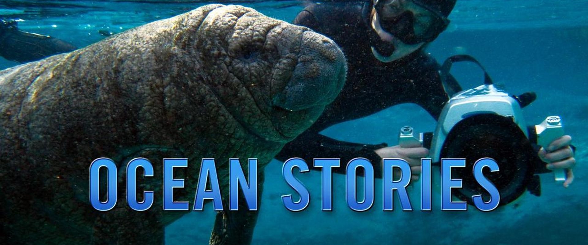 Ocean Stories