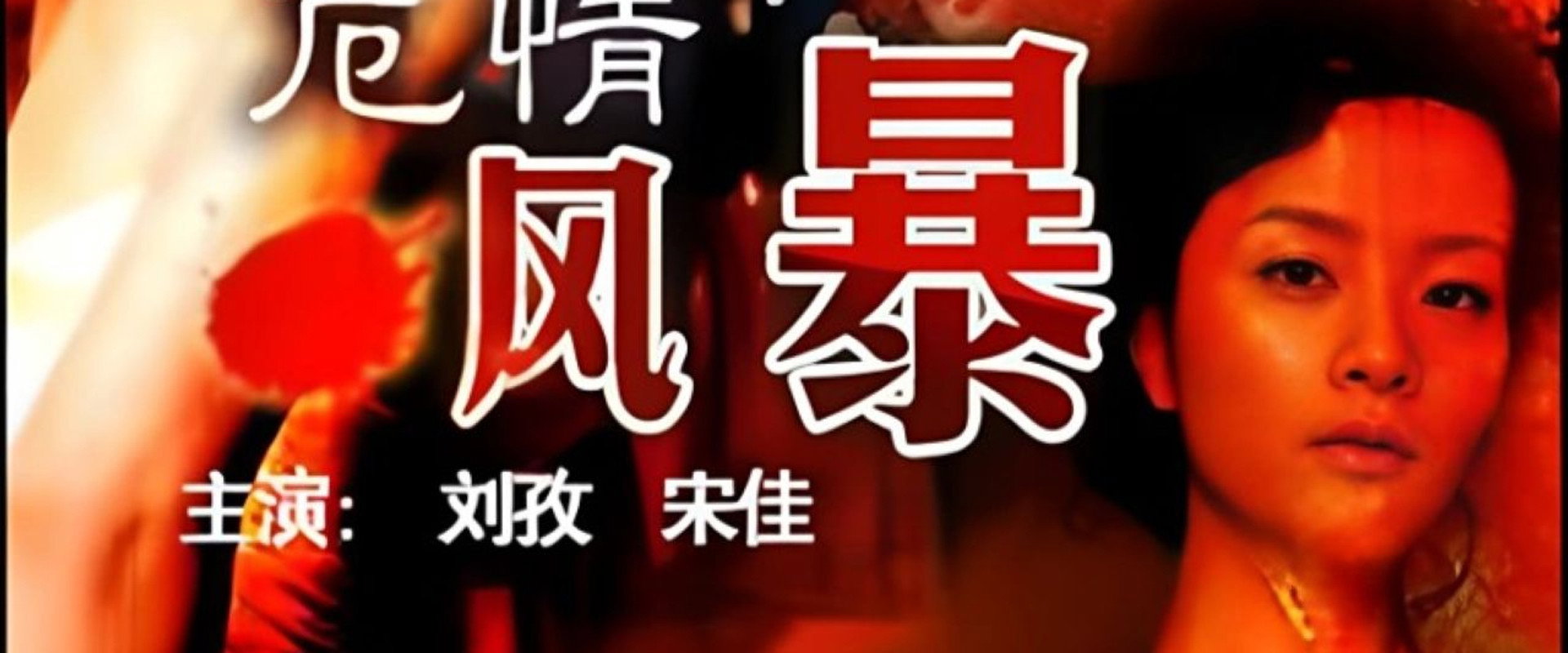 危情风暴's banner image