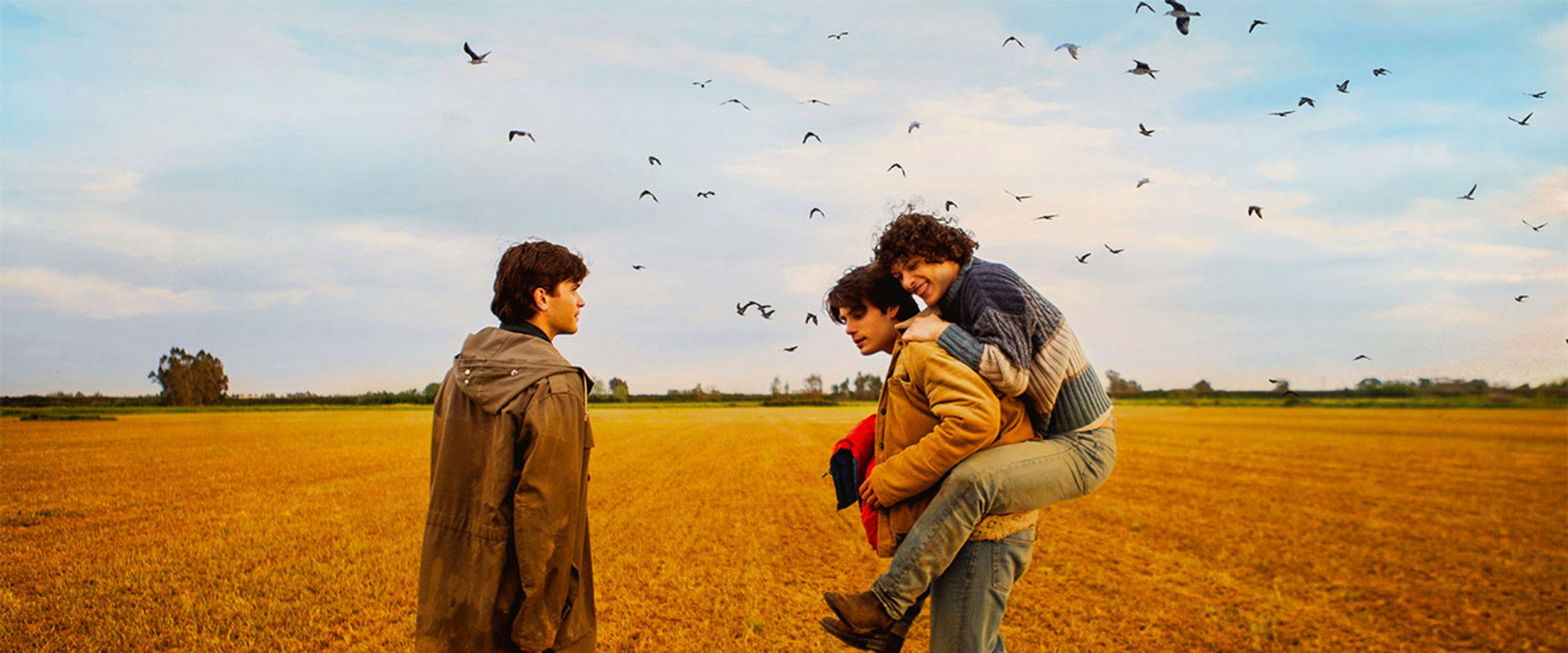 Nato a Casal di Principe's banner image