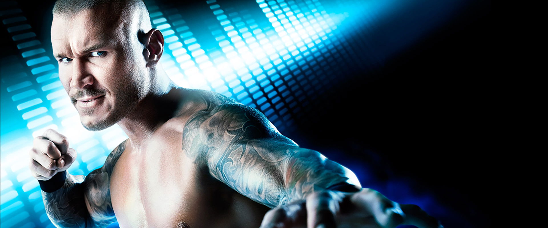 WWE Over The Limit 2012's banner image