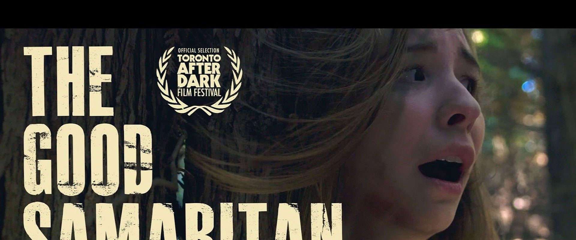 The Good Samaritan's banner image