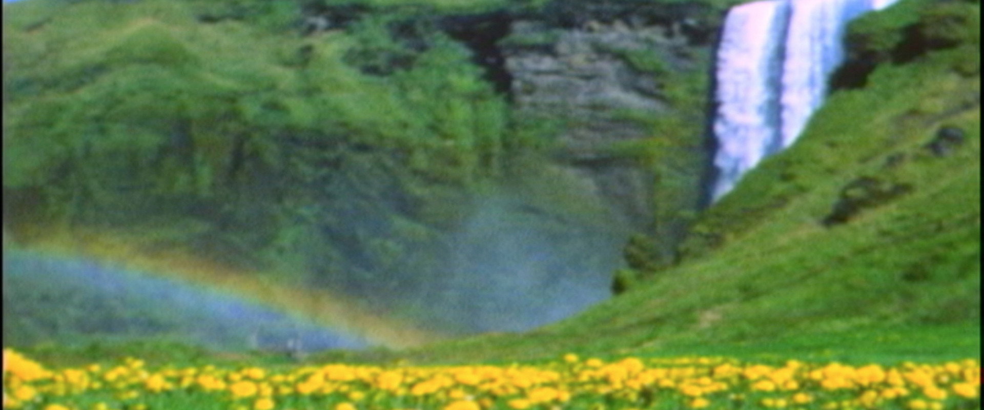 Iceland's banner image