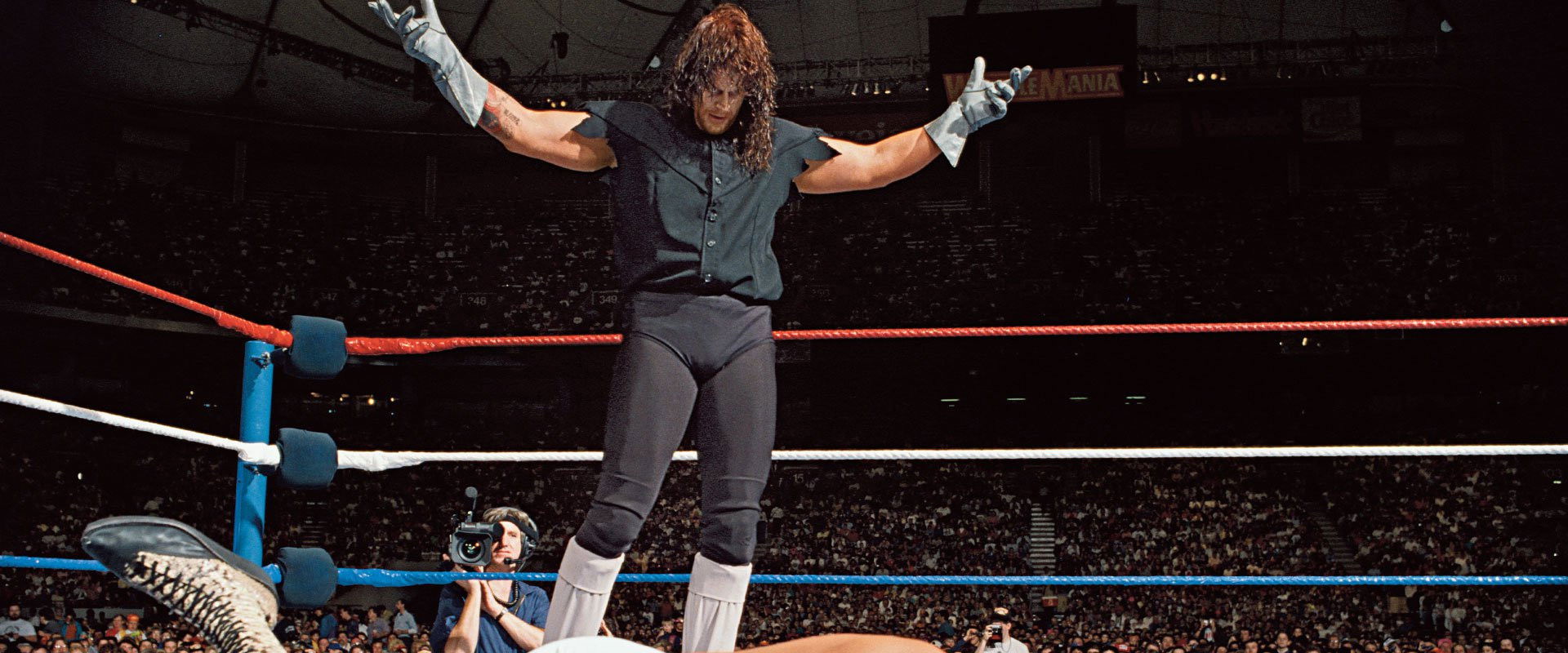 WWE WrestleMania VIII's banner image