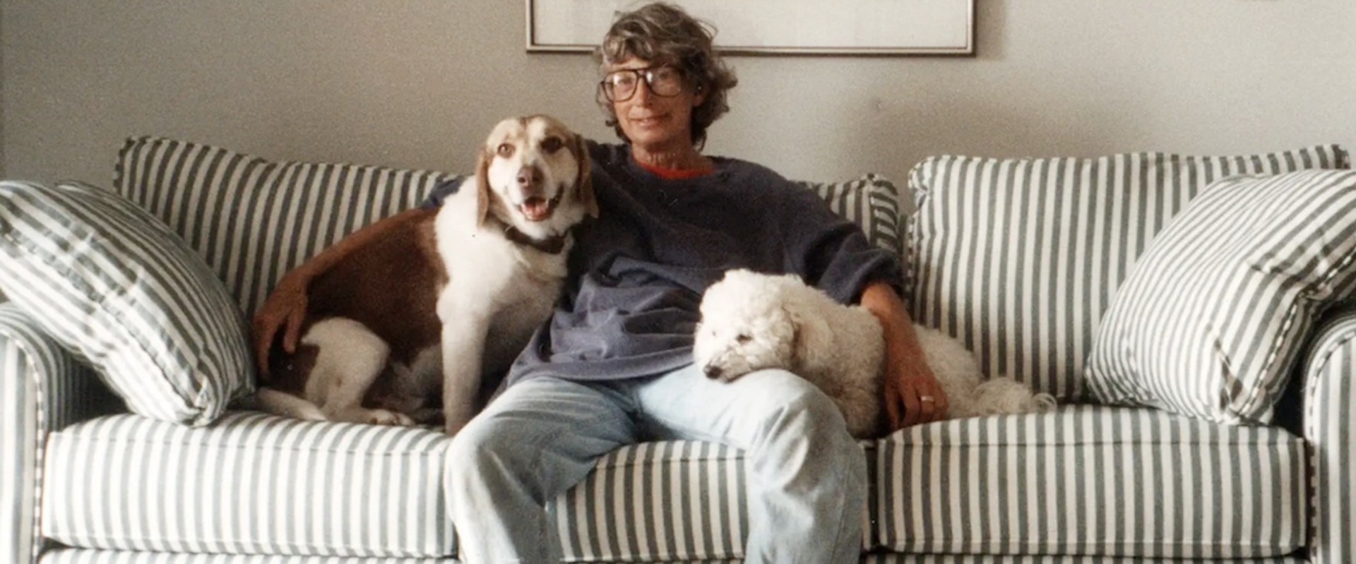 Mary Oliver: Saved by the Beauty of the World's banner image
