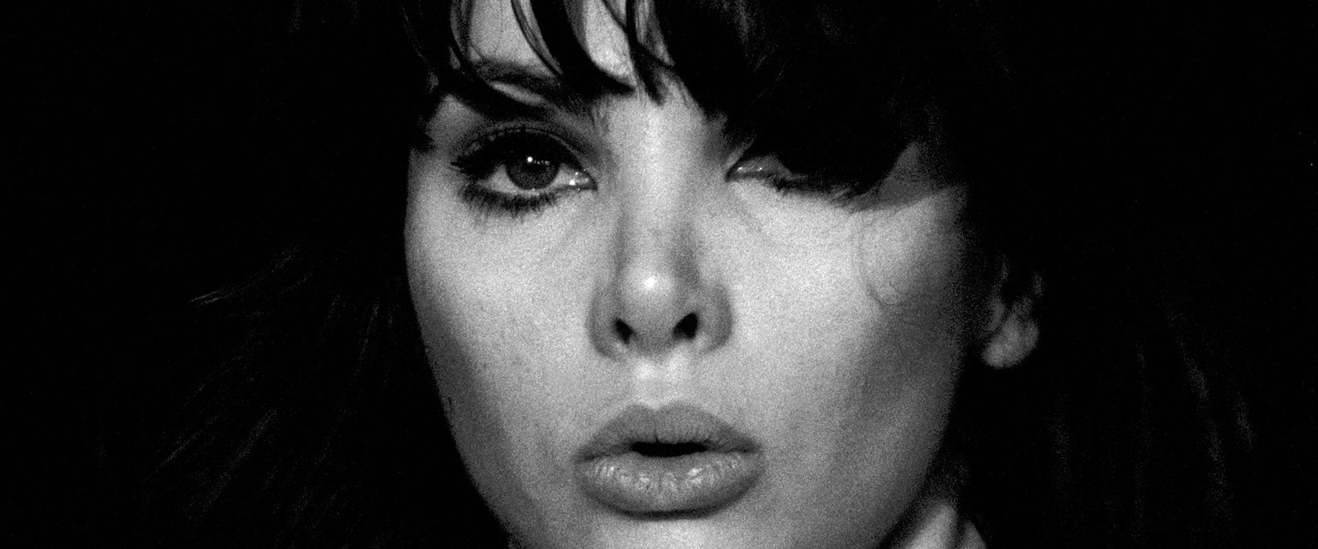 Breakaway's banner image