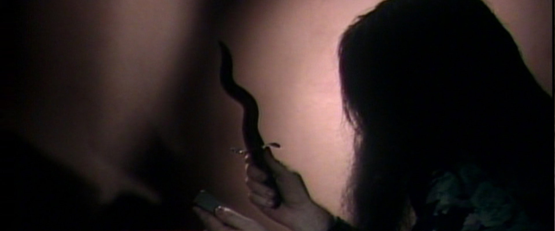 555's banner image