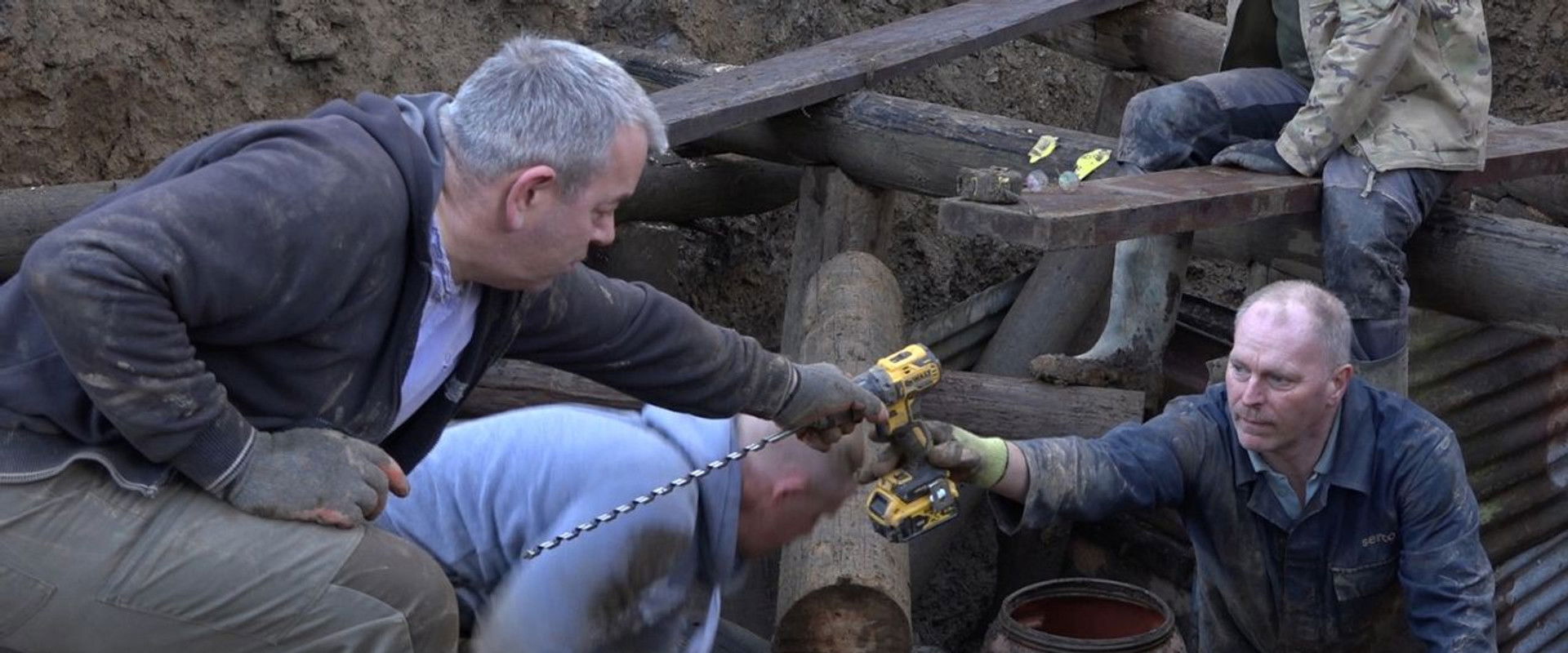 Under the Forest's banner image