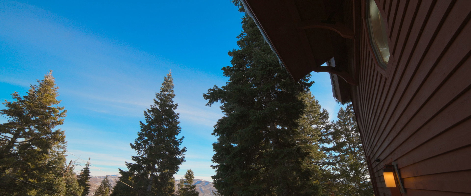 Donner Party 2