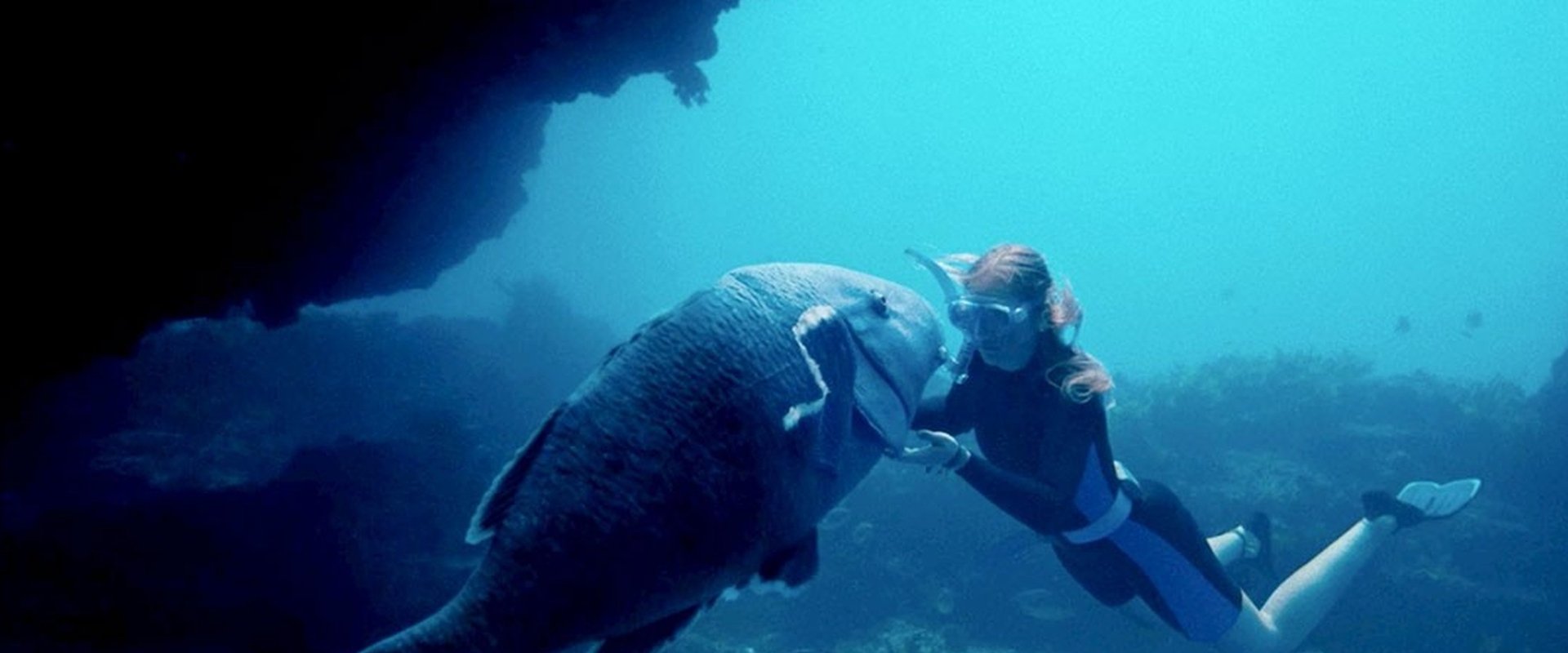 Blueback : Une amitié sous-marine