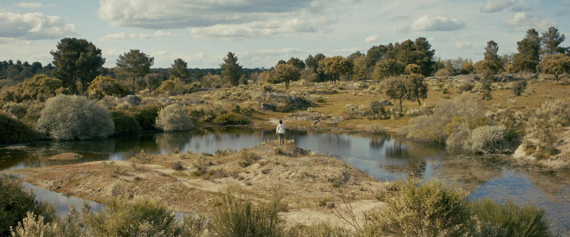 NAUFRAGIA's banner image