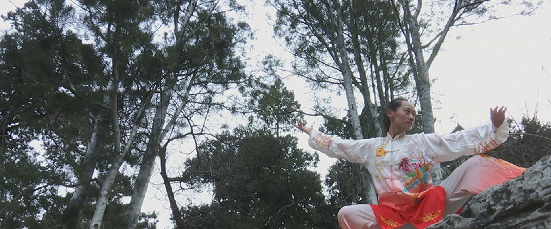 Kung fu Révolution(s)