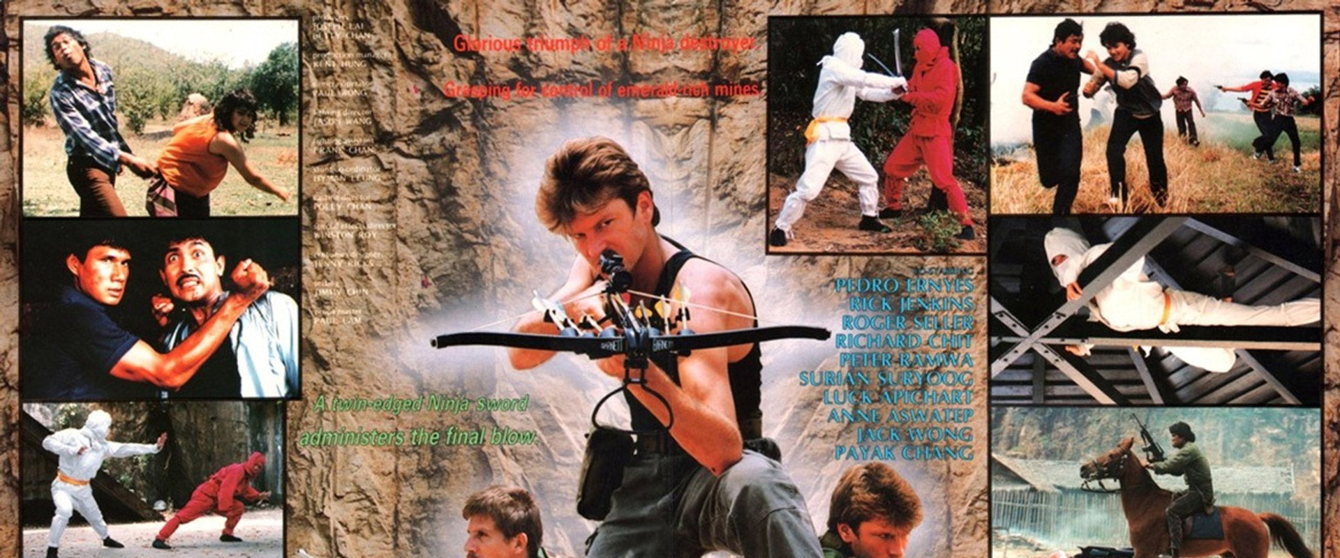 Ninja Destroyer's banner image