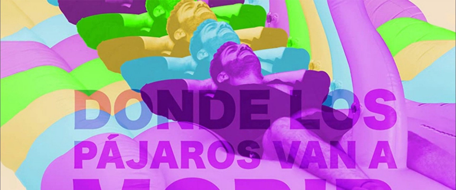 Donde los pájaros van a morir's banner image