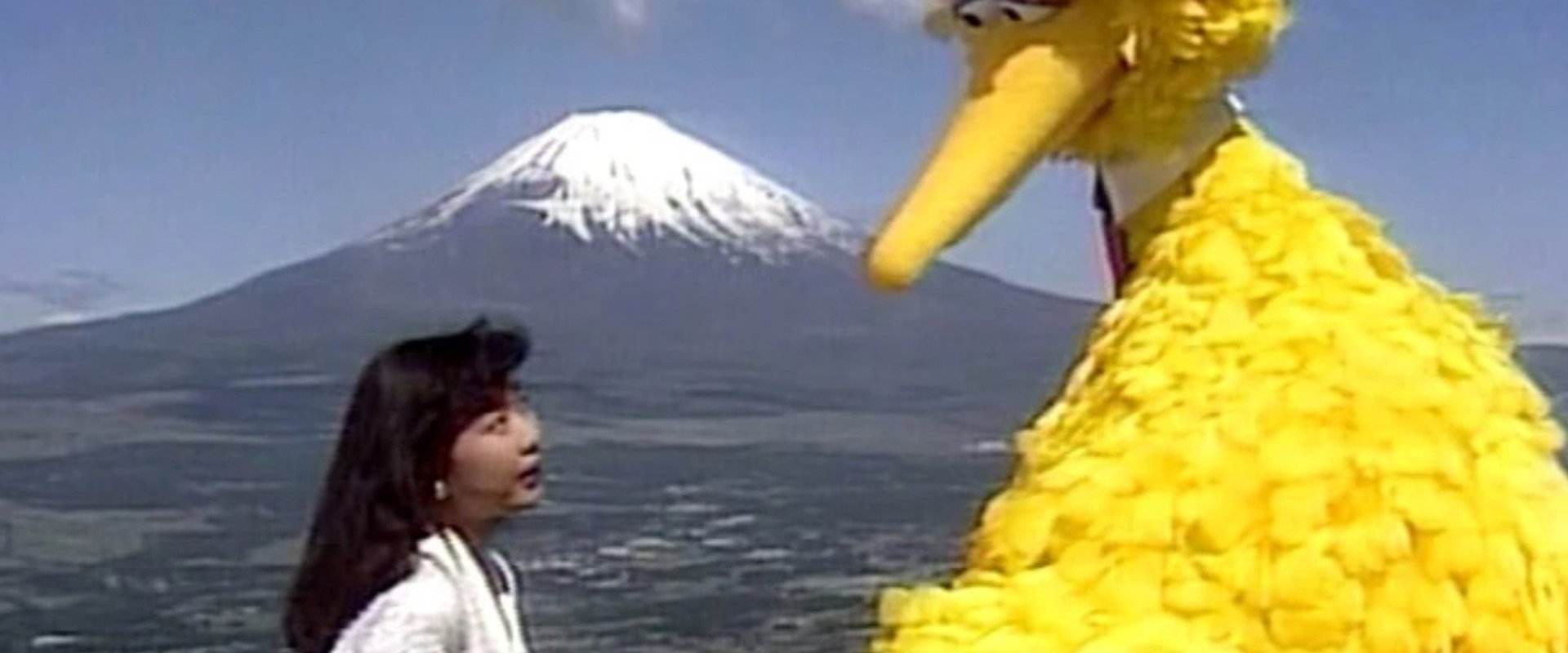 Big Bird in Japan