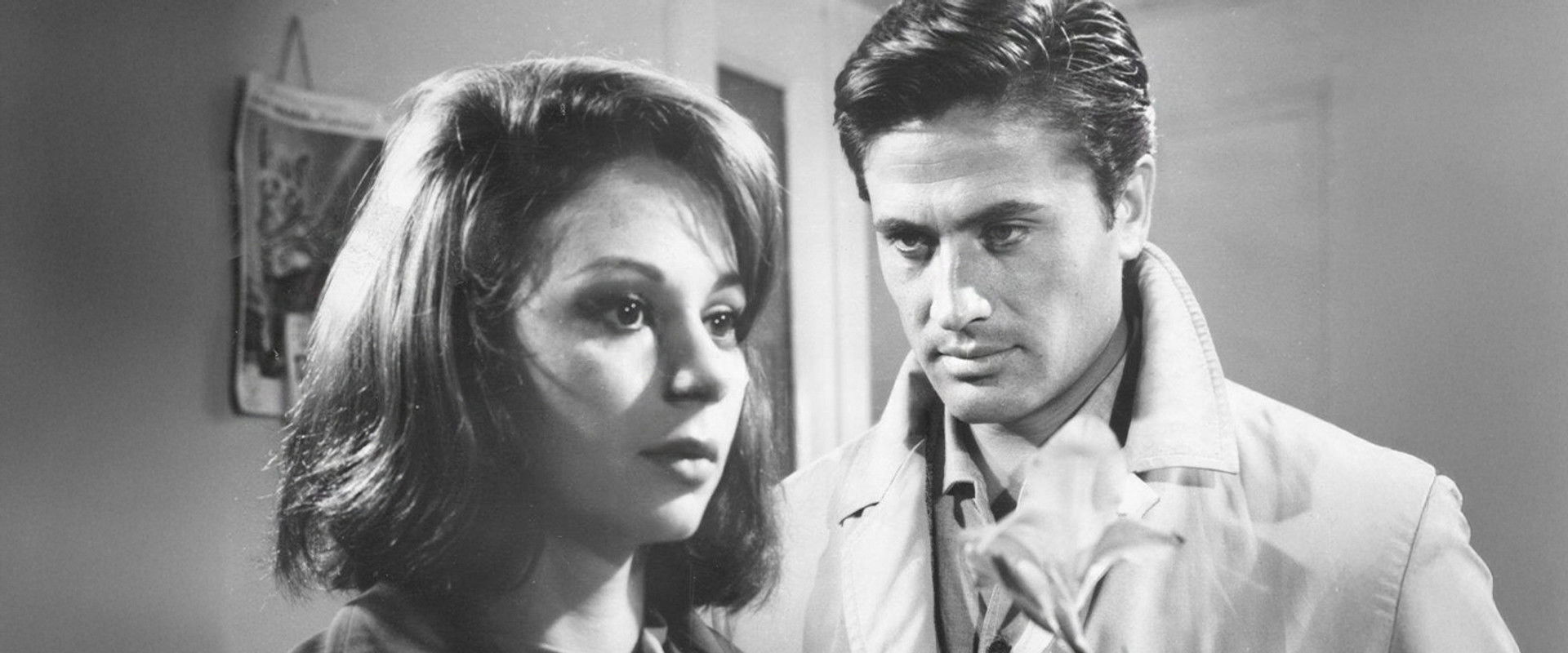 Cehennem Arkadaşları's banner image