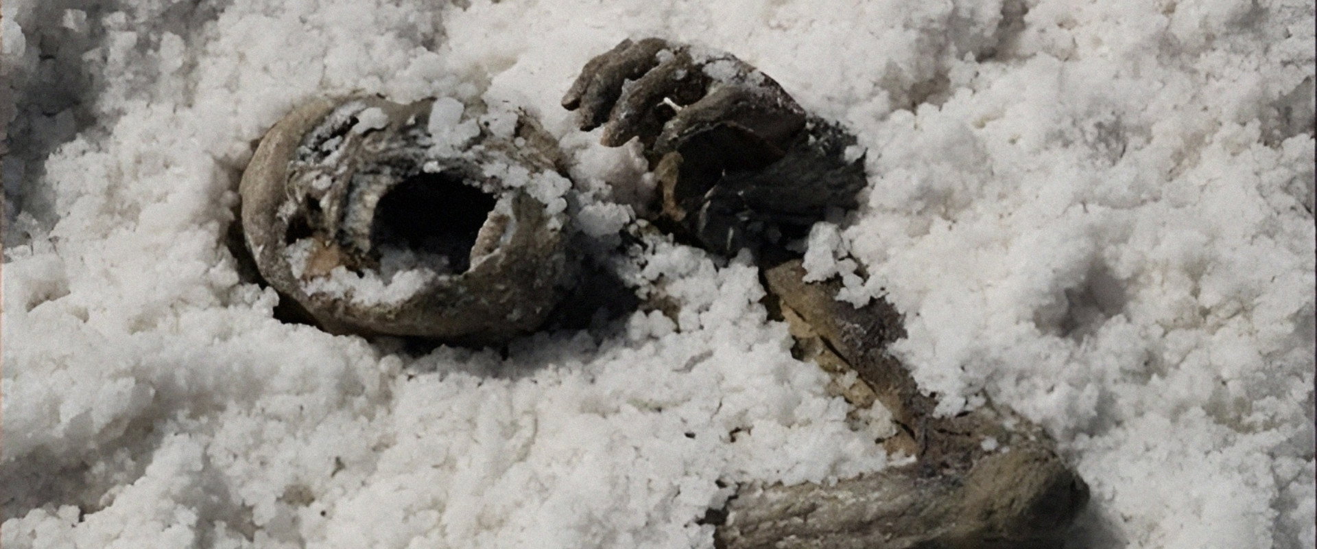 Under the Salt's banner image
