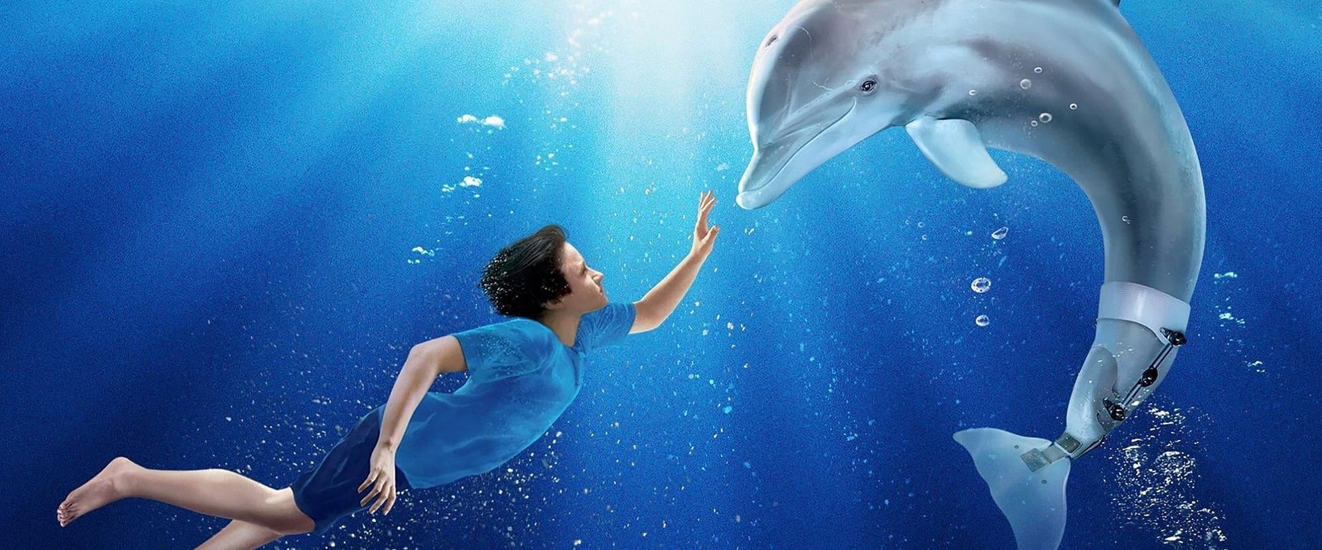 Dolphin Tale