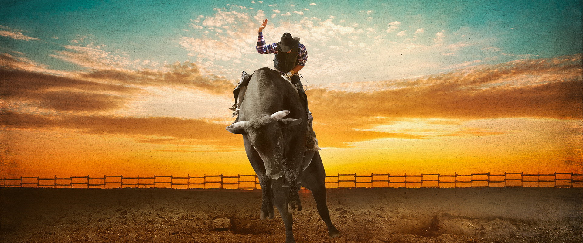 Cowboy & Indiana's banner image