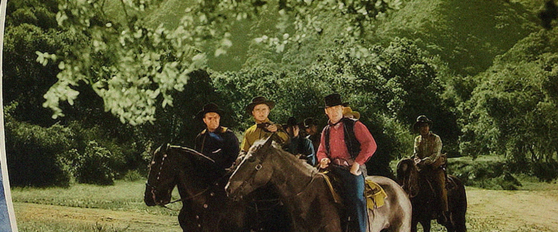 Desert Bandit's banner image