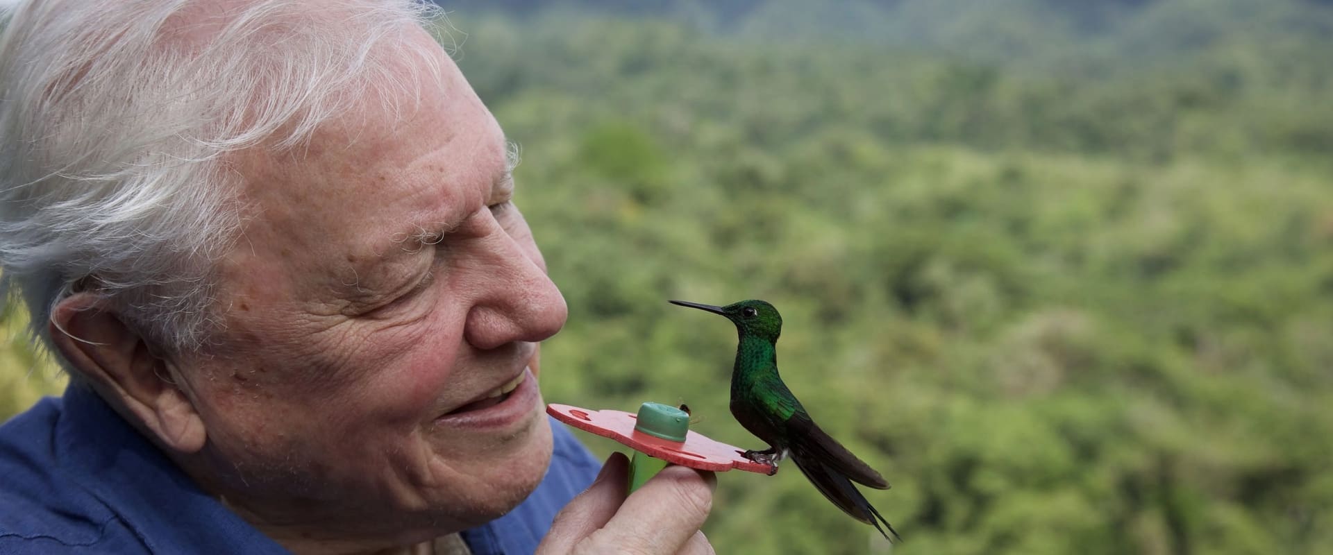 Attenborough's Life in Colour