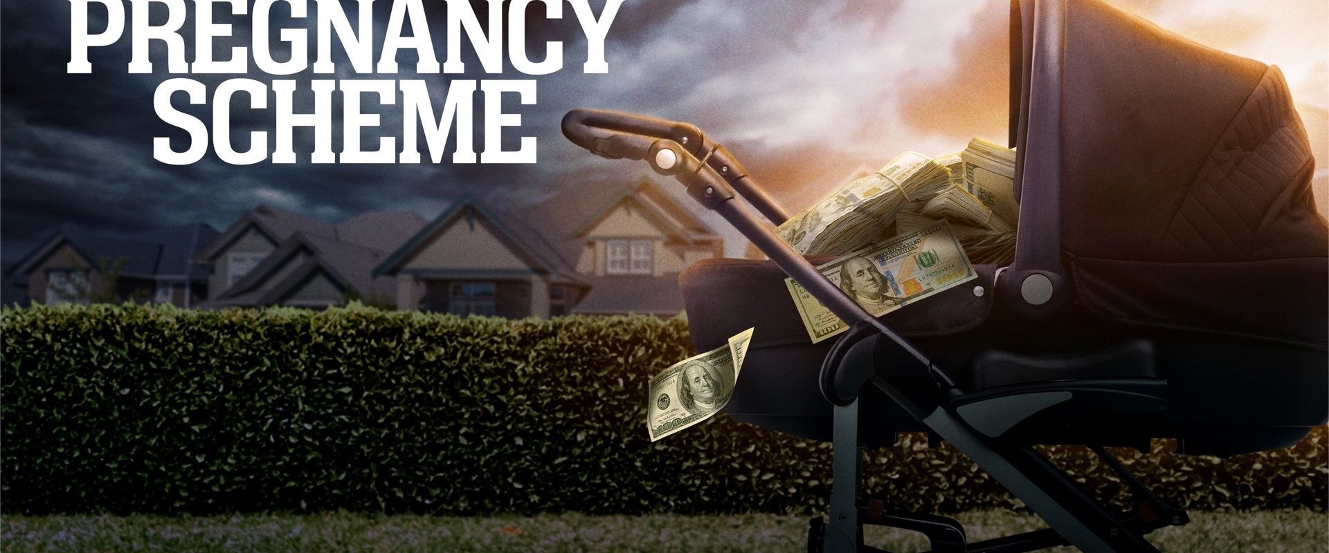 The Pregnancy Scheme