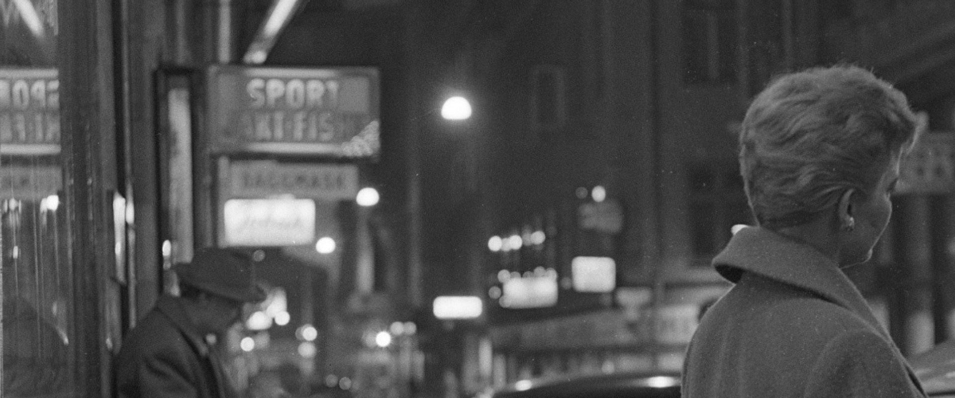 Stieg Trenter - Ett porträtt's banner image