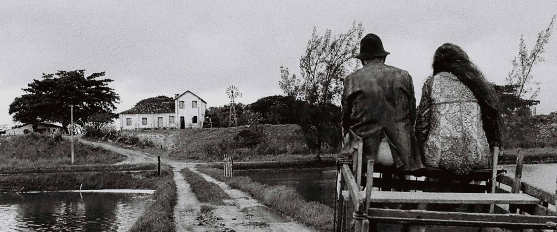 Southwest's banner image