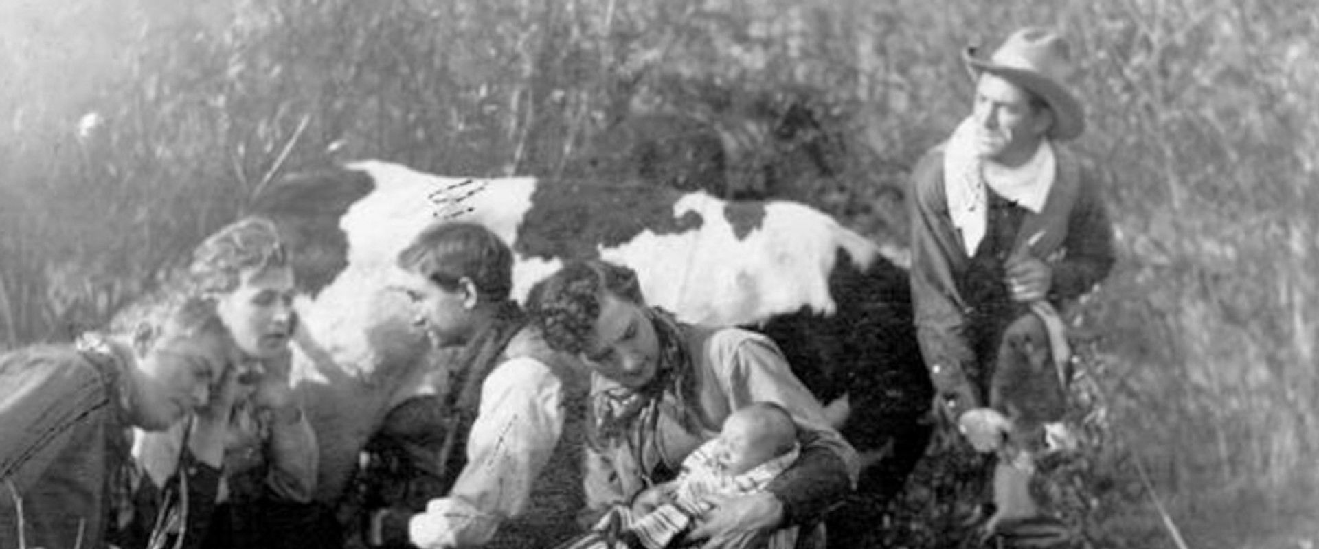 Bill's Sweetheart's banner image