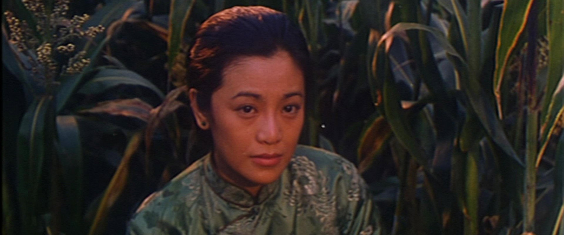 The Story in Sorghum Field's banner image
