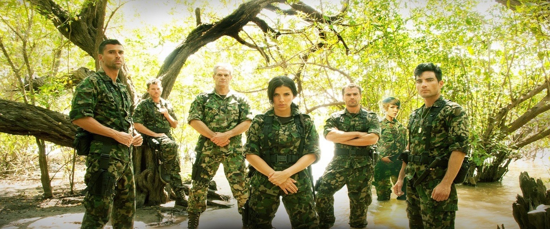 The Lieutenant's banner image