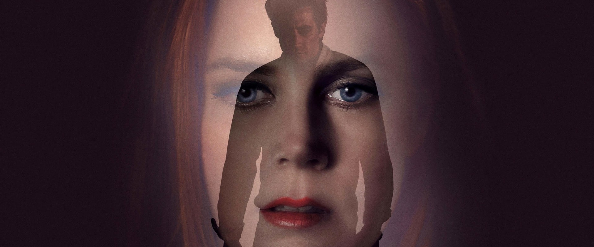 Nocturnal Animals