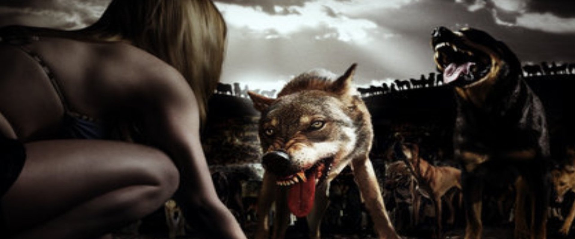 The Breed