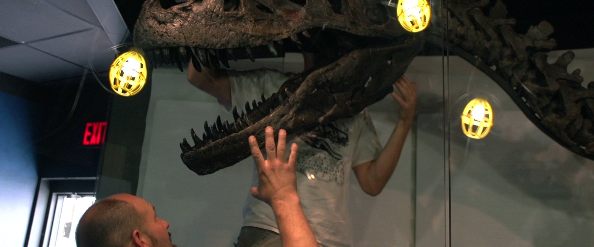 We Believe in Dinosaurs