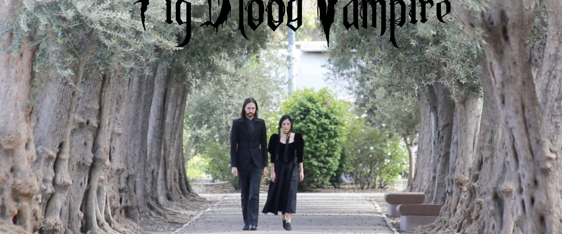Pig Blood Vampire