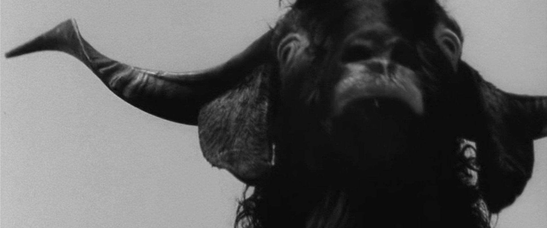 Incubus