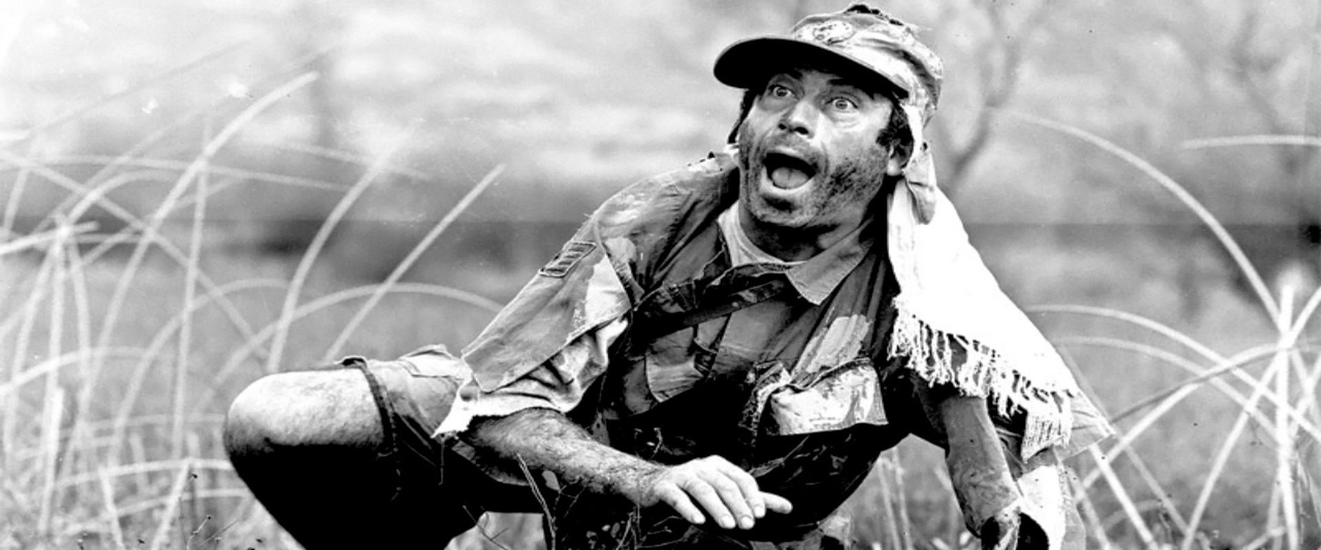 Holidays in Vietnam's banner image