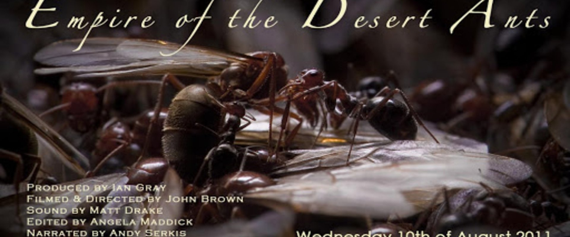 Attenborough and the Empire of the Ants
