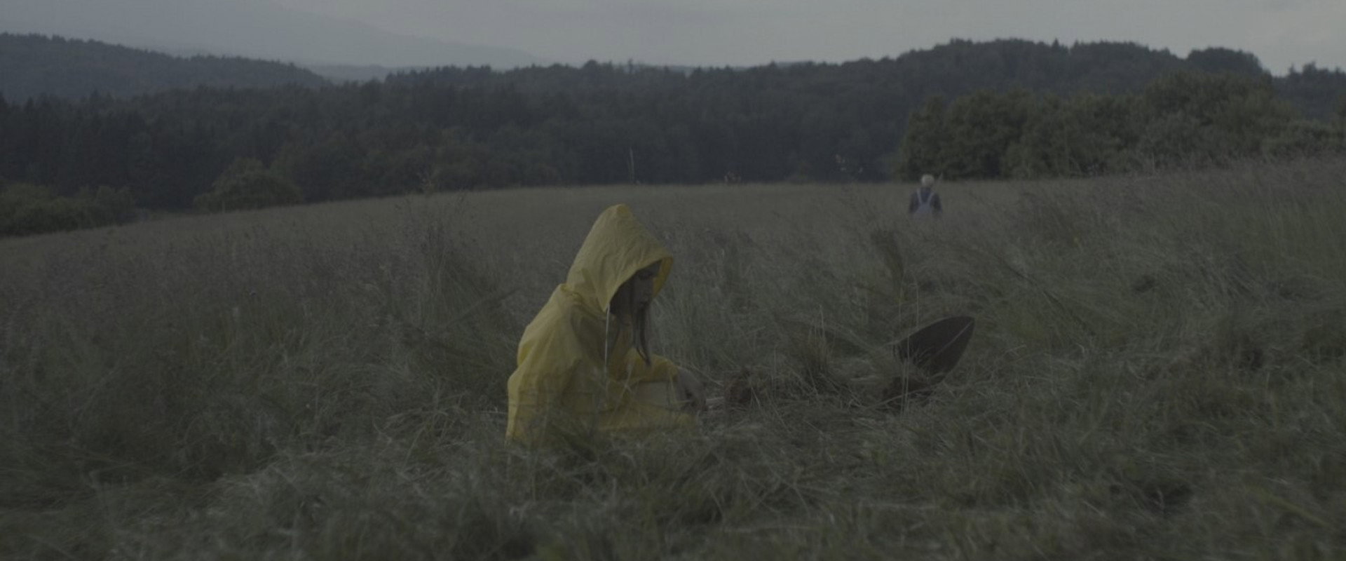 Soil Stories's banner image