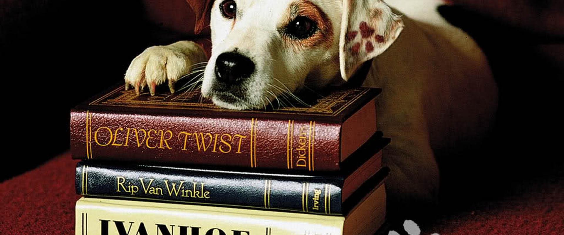 Wishbone