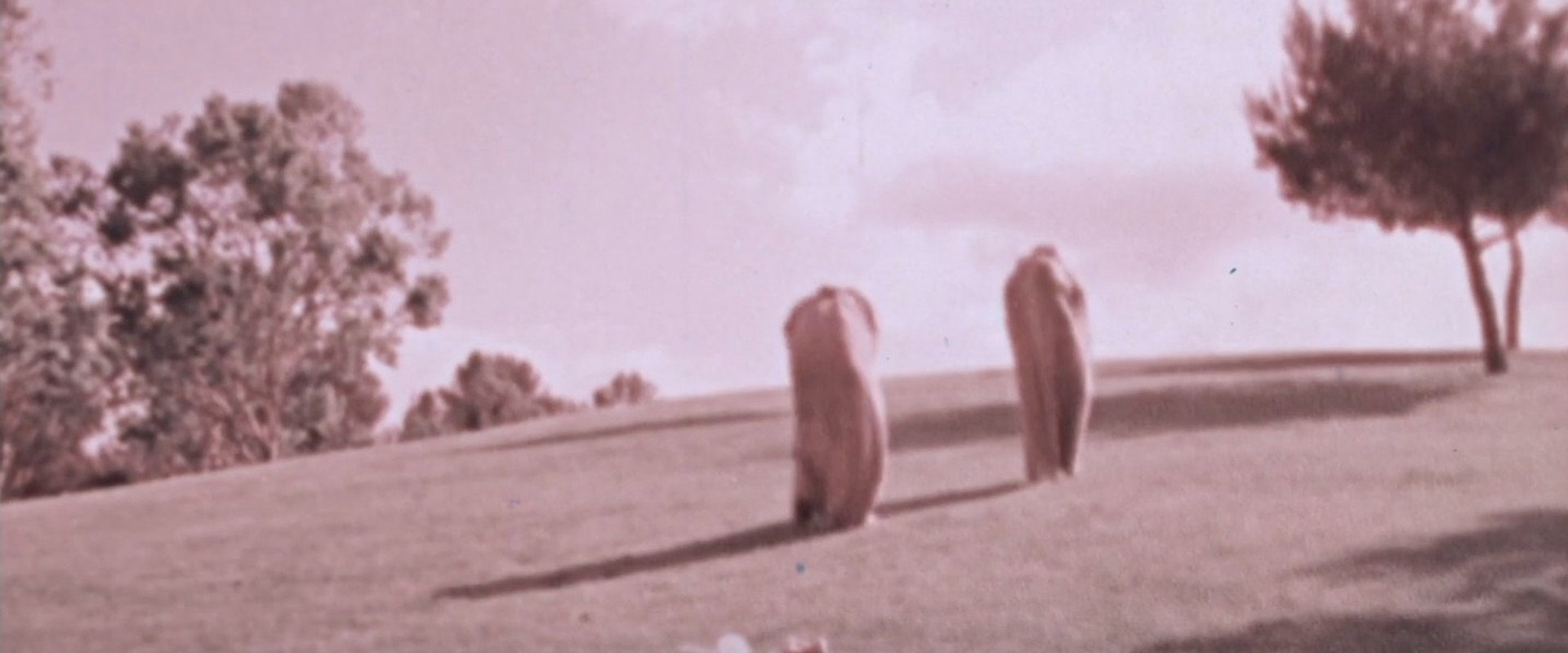 The Baggs's banner image