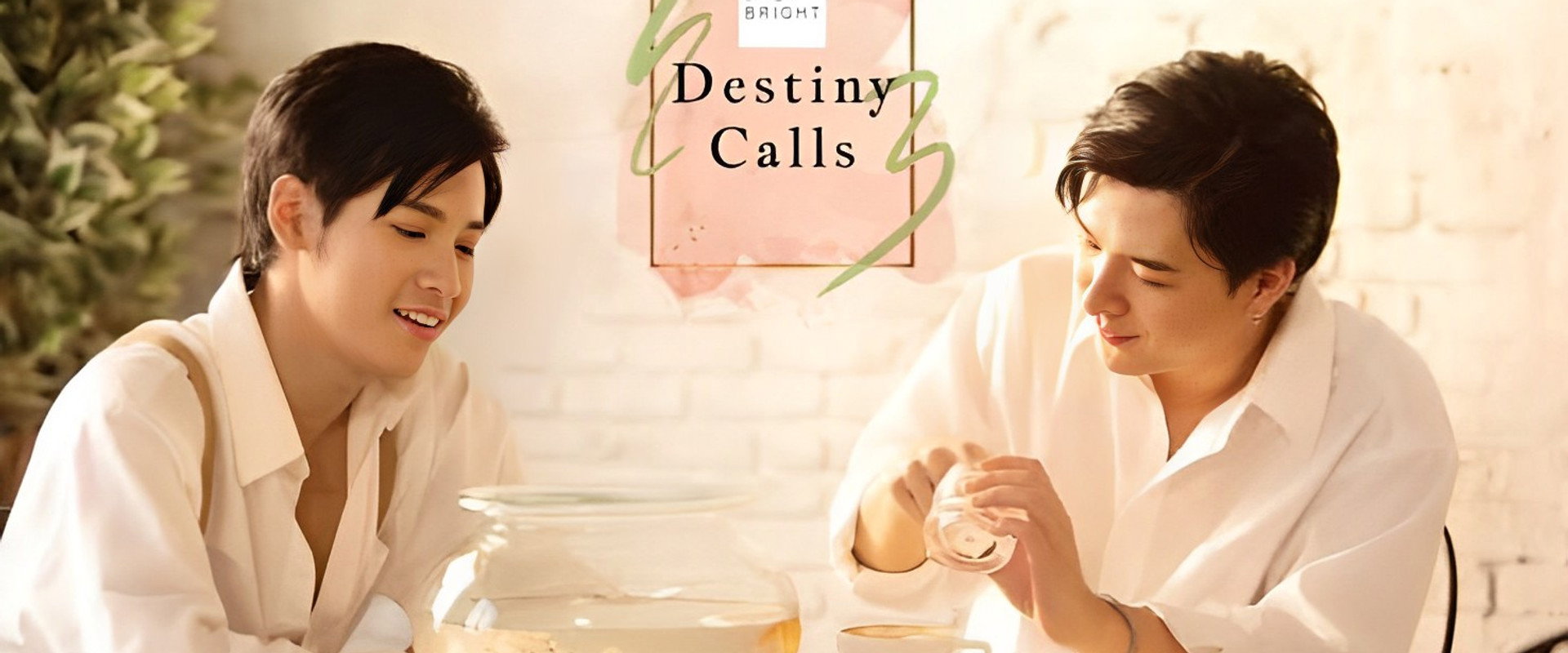 Destiny Calls's banner image