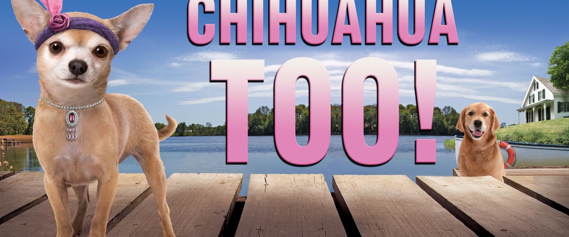 Chihuahua Too!