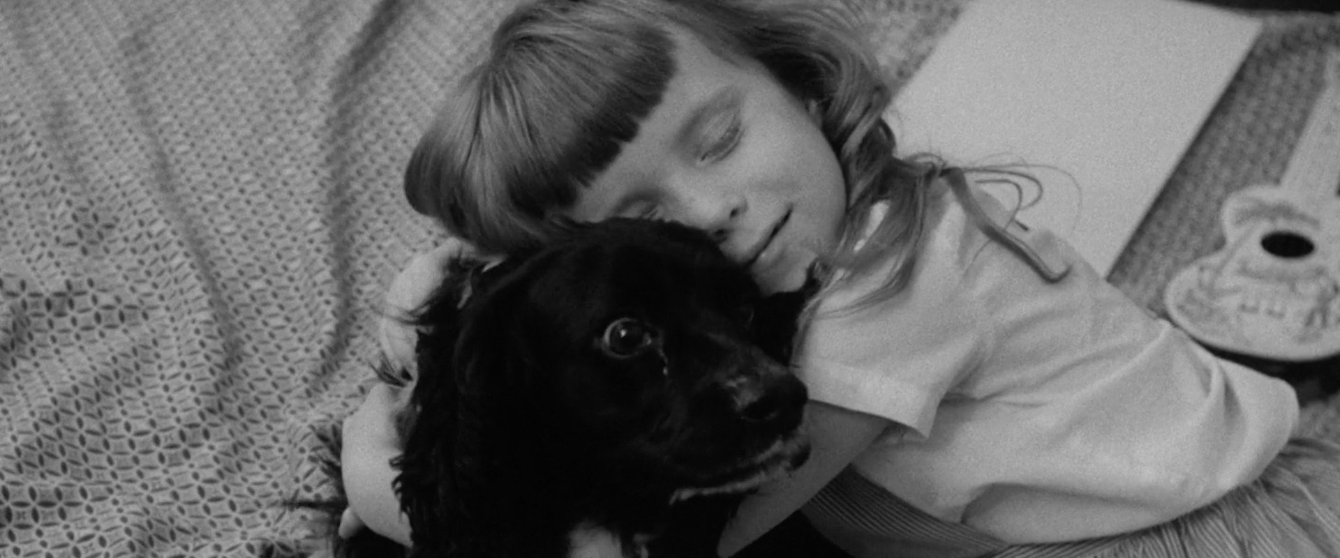 The Dog Lover's banner image